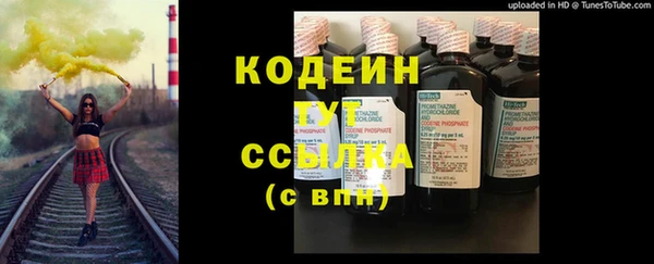 индика Магас