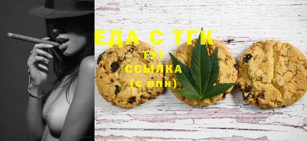 индика Магас