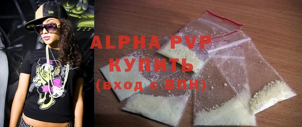 индика Магас