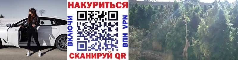 где купить наркоту  Среднеколымск  Каннабис White Widow 